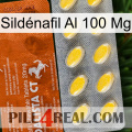 Sildénafil Al 100 Mg 42